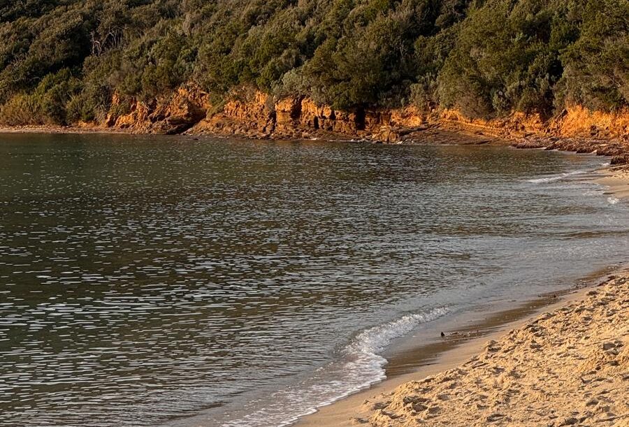 Cala-violina-.jpeg